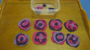 pre sch flo tray together